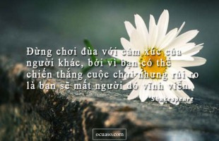 Có những điều trong tiếng Việt chất đầy cảm xúc…
