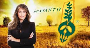 Bayer sát nhập Monsanto: Cuộc hôn nhân của 2 ‘kẻ hủy diệt thế giới’