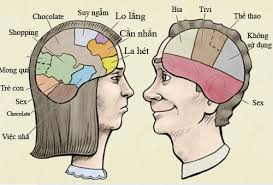 Sự khác biệt của bộ não giữa đàn ông và phụ nữ.