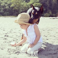 Bộ ảnh 'cô bé Sienna và chú chó Buddha' gây sốt Instagram.