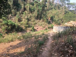 'Khai quật' 3 hầm gỗ mun quý chôn trong lõi VQG Phong Nha - Kẻ Bàng