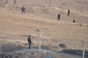 Triều Tiên thừa nhận hạn hán kỷ lục, đối mặt nguy cơ thiếu lương thực
