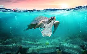 Có bao nhiêu nhựa trong đại dương?