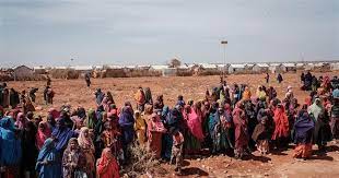 Mỹ, châu Âu, châu Phi ra tuyên bố chung kêu gọi khẩn cấp chống nạn đói