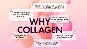 Collagen là gì? Tại sao cần bổ sung collagen?