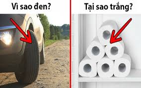 Tại sao 9 thứ quen thuộc này phải có những màu sắc đặc biệt của riêng mình