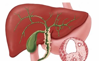 5 bộ phận cơ thể càng "mềm" thì càng khỏe: Đây là cách để bạn làm mềm chúng hàng ngày.