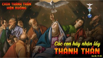 MUỐN NÊN THÁNH, ĐỪNG CẢN TRỞ CHÚA THÁNH THẦN