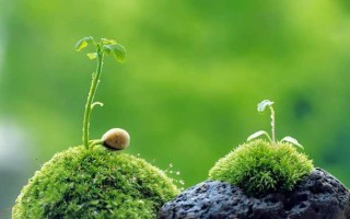 VƯƠNG QUỐC VÀ GIÁO HỘI