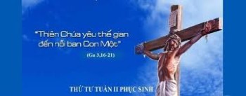 tải xuống (8)