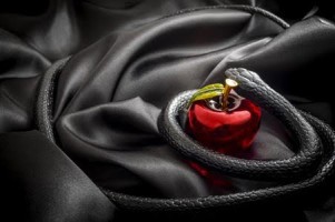 ÔNG HOÀNG NÓI DỐI