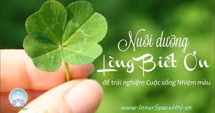 MẦU NHIỆM CỦA LÒNG BIẾT ƠN VÀ SỨC MẠNH CHUYỂN CẦU TỪ LUYỆN NGỤC