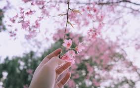 VẺ ĐẸP HƯƠNG XUÂN VÀ SỨC SỐNG TỪ TÂM HỒN