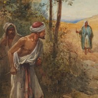 CHĂM SÓC VƯỜN NHO