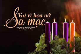 VUI VÌ HOA NỞ GIỮA SA MẠC