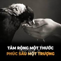 TÂM RỘNG - PHÚC SÂU