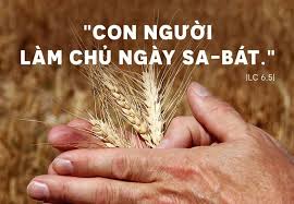 CON NGƯỜI LÀM CHỦ NGÀY SA-BÁT: TỰ DO TRONG KHUÔN KHỔ CỦA TÌNH YÊU CỨU ĐỘ