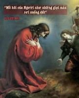 ÁNH MẮT XUYÊN THẤU VÀ BÀN TIỆC LÒNG THƯƠNG XÓT( 2)