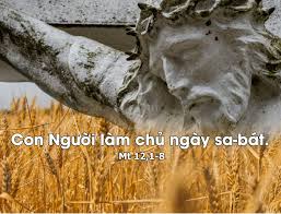 CHÚA GIÊ-SU LÀ CHÚA TỂ NGÀY SA-BÁT VÀ TIN MỪNG VỀ SỰ TỰ DO ĐÍCH THỰC