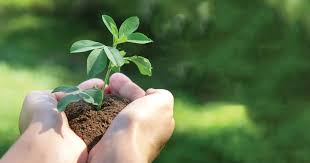 TỰ TẠI GIỮA ĐẤT TRỜI TRONG BÀN TAY QUAN PHÒNG