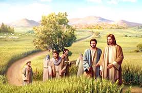 MÙA GẶT CỦA THIÊN CHÚA VÀ TRÁI TIM NGƯỜI ĐƯỢC SAI ĐI