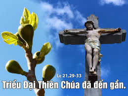 NHÌN CÂY VẢ ĐÂM CHỒI ĐỂ HỌC CÁCH NHẬN RA NƯỚC THIÊN CHÚA ĐANG ĐẾN GẦN