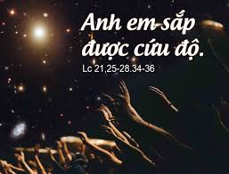 GIỮA NHỮNG ĐỔ VỠ CỦA THỜI CUỘC, HÃY NGẨNG ĐẦU LÊN VÌ ƠN CỨU ĐỘ ĐÃ GẦN ĐẾN