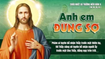 ĐỪNG SỢ, VÌ CHA ĐÃ ĐẾM TỪNG SỢI TÓC TRÊN ĐẦU CON