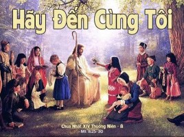 BÀI GIẢNG CHÚA NHẬT XIV THƯỜNG NIÊN – NĂM A HÃY ĐẾN CÙNG THẦY, TÂM HỒN ANH EM SẼ ĐƯỢC NGHỈ NGƠI