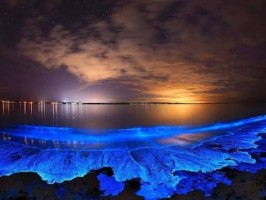 ÁNH SÁNG LỚN LAO XUẤT HIỆN TRONG TỐI TĂM