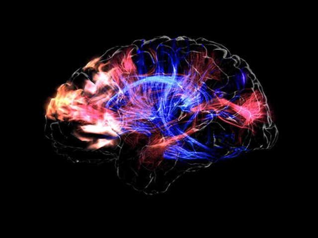 Bộ não con người và những điều khoa học chưa thể giải thích