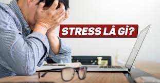 Nguyên nhân Stress thường gặp và cách đập tan chúng!