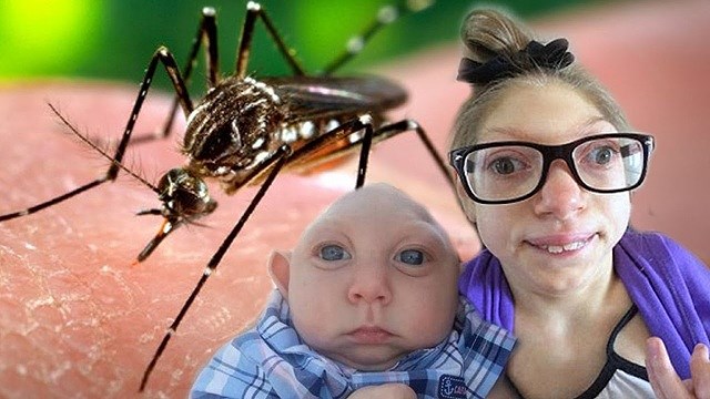 10 căn bệnh nguy hiểm do muỗi gây ra.