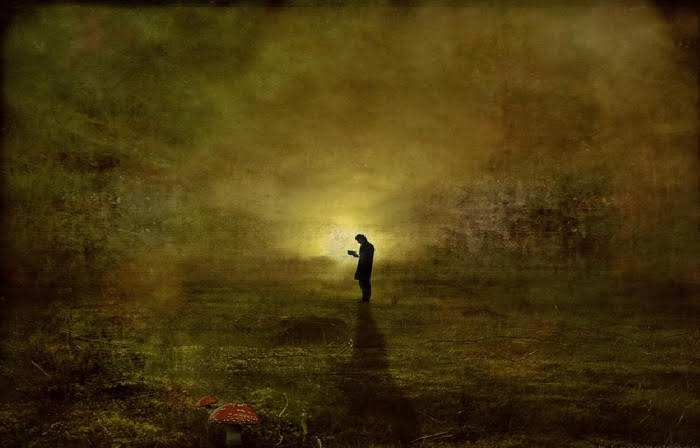 unnamed (11)