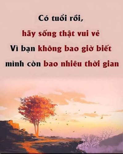 images (11)