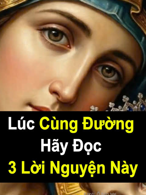 images (7)