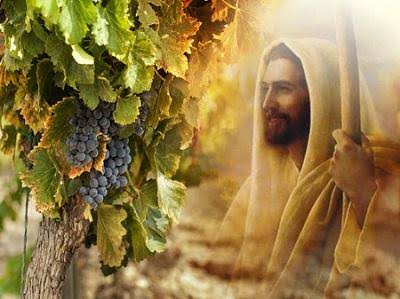 images (10)