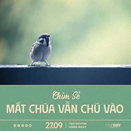 images (3)